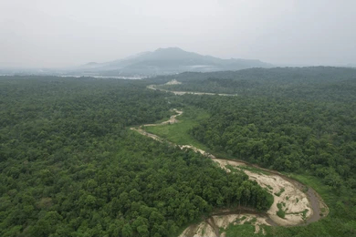 Valmikinagar Tiger Reserve